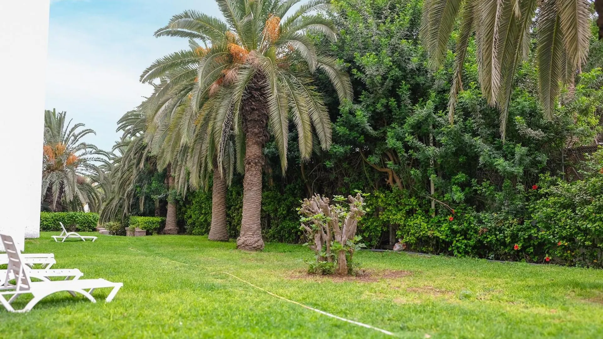 Hamilton Agadir Hotel 3*,  Marokkó