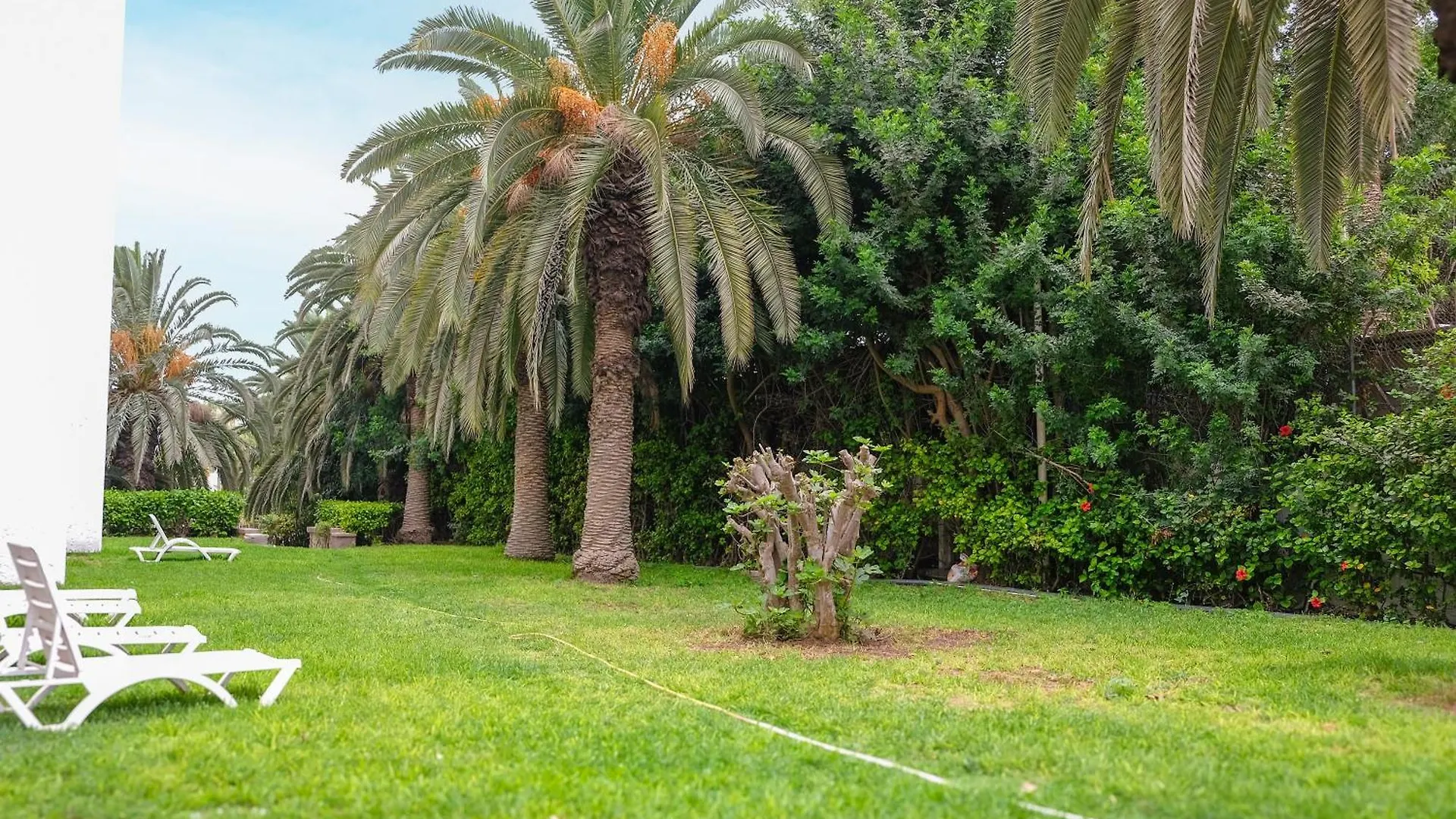 Hamilton Agadir Hotel